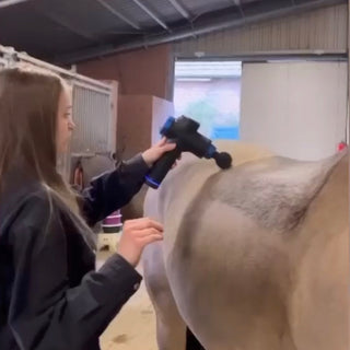Massagepistole für Pferde
