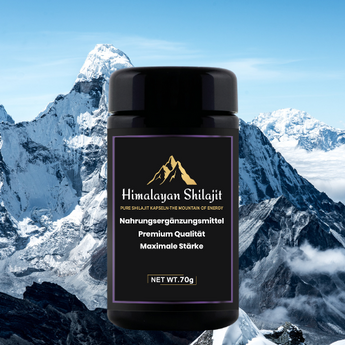 Shilajit Kapseln