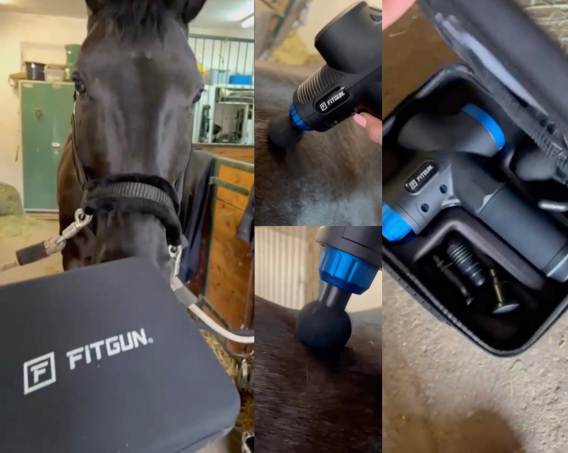 Fitgun Pro® | Optimal für dein Pferd